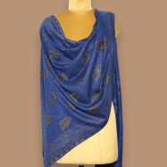 Blue-Zari-Bootidaar-Jama-Shawl-02