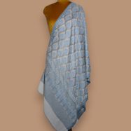 Sky-Blue-and-Beige-Zari-Work-Shawl-01