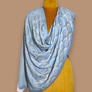 Sky-Blue-and-Beige-Zari-Work-Shawl-02