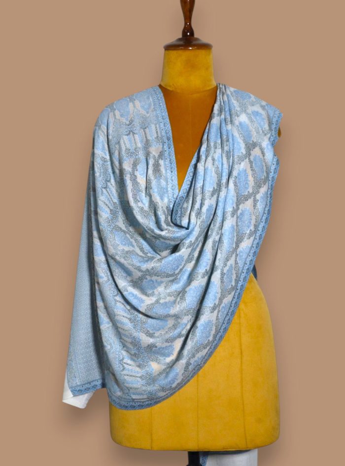 Sky-Blue-and-Beige-Zari-Work-Shawl-02