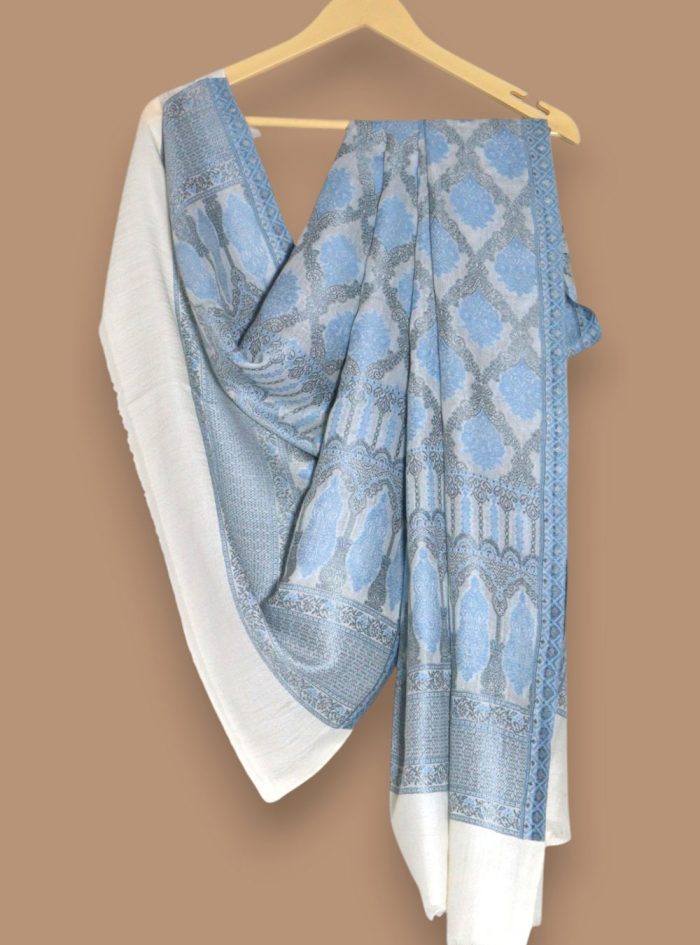 Sky-Blue-and-Beige-Zari-Work-Shawl-03