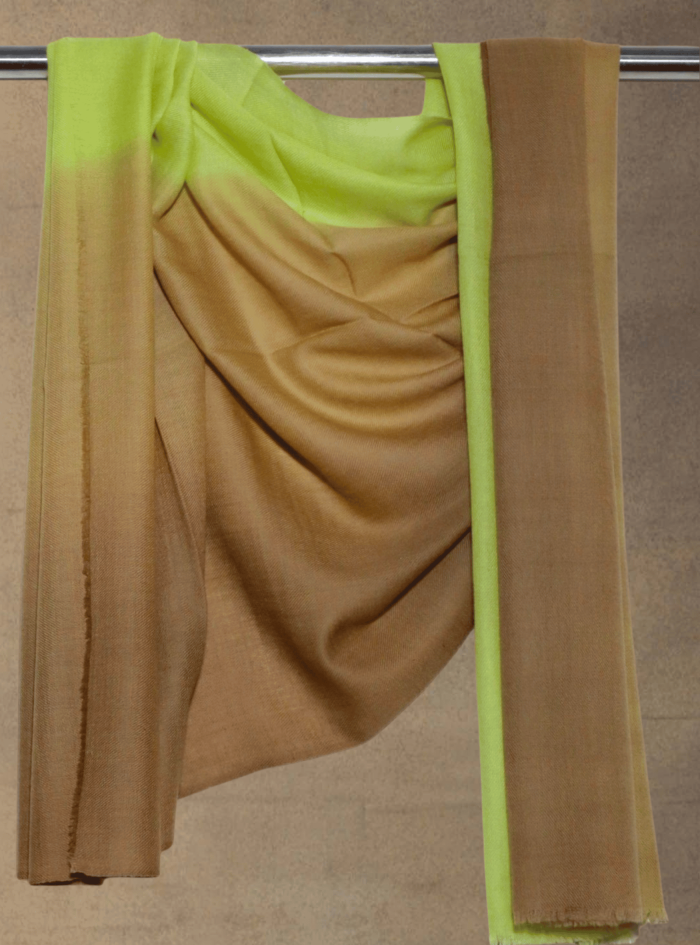 Untitled design (18)