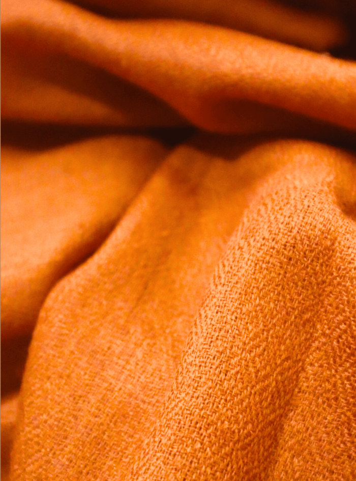 Untitled design (19)