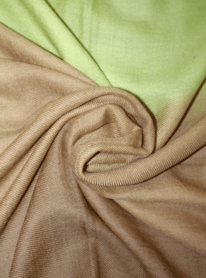 Untitled design (19)